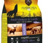 Poe Lang Łuk bloczkowy Ek Poe Lang FIRESTAR YOUTH Blue 25 lbs ZESTAW CO014UCB3