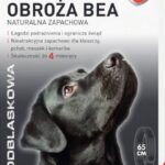 Resto Quality Ramię Ubijające Do Miksera Zanurzeniowego 360Mm , (FAF)