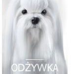 Łuparka Pinowa Do Drewna R16(Ton)E ROBUST Silnik Elektryczny