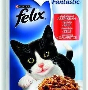 Felix Fantastic Adult Wołowina 100g