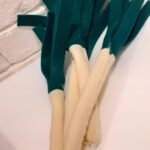 Grundl 352504 Blau Grun Color