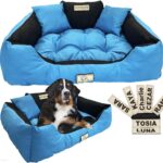 Royal Canin Shn Mini Starter M&B 8Kg