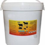 Jsb Match Diabolo Śrut Exact Jumbo Rs 5,52 500
