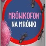 Dolina Noteci Premium Z Wołowiną 24X800G