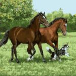 Royal Canin Mini Adult 2X8Kg