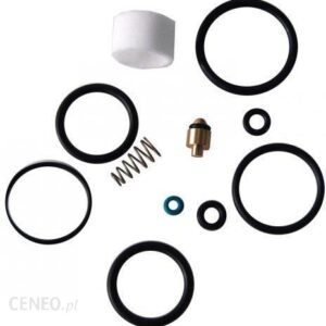 Pumps Zestaw Serwisowy Do Pompki Pcp Hill Mk4 (367002)