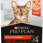 Royal Canin Veterinary Diet Renal Small Dog 500G