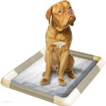 Revell 32185 Farba Brązowy Brown Mat