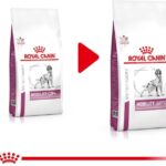 Mac’S Cat Superfood Kaczka Indyk Kurczak Tacka 100G