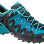 Whiskas Adult Wołowina 12x400g