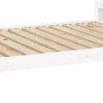 Tacx Flux 2 Smart T2980