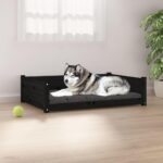Balsax Spławik Spina 2.5G (60010039)