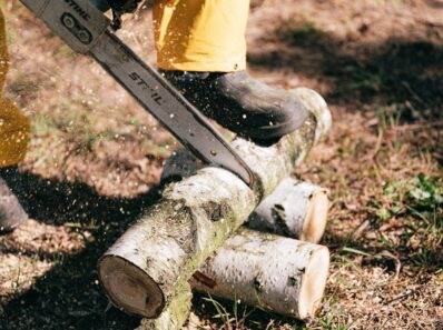 Pilarka akumulatorowa w codziennych pracach ogrodowych