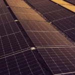 Testy prawnicze 2026 — aplikacja dla kandydatów na aplikację prawniczą i notarialną